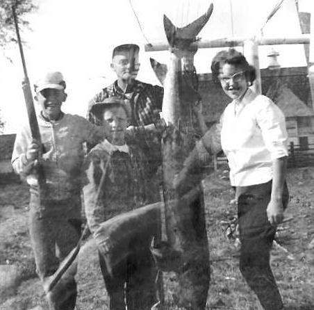 Sturgeon